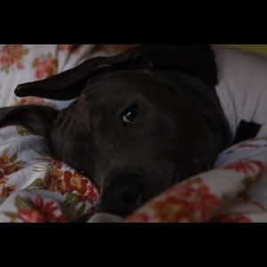 Meet your Posher, Ellen